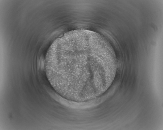 X0000114210046200911061455