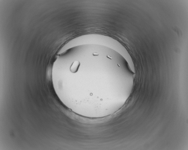 X0000114210047200911061455