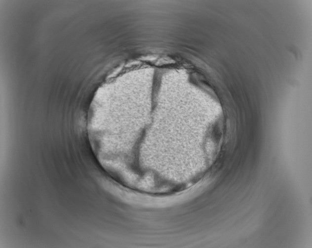 X0000114210048200911061455