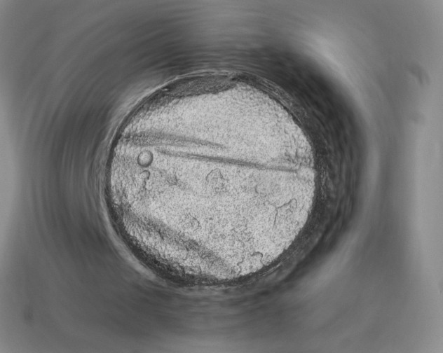 X0000114210049200911061454