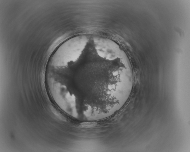 X0000114210051200911061454