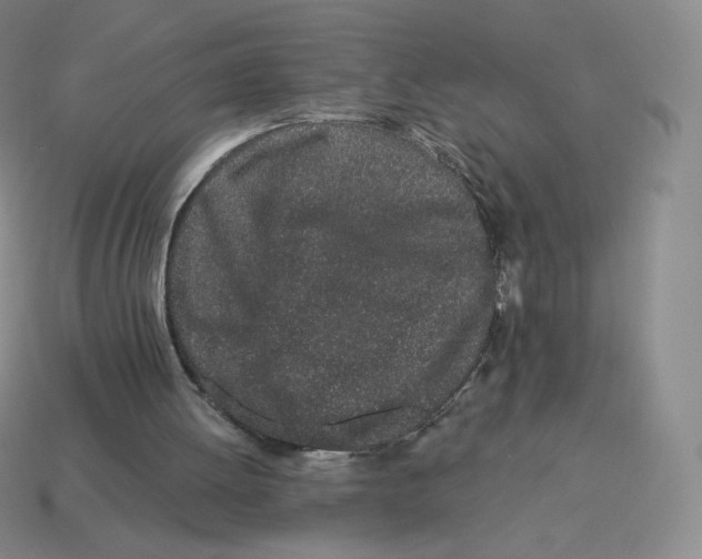X0000114210052200911061454