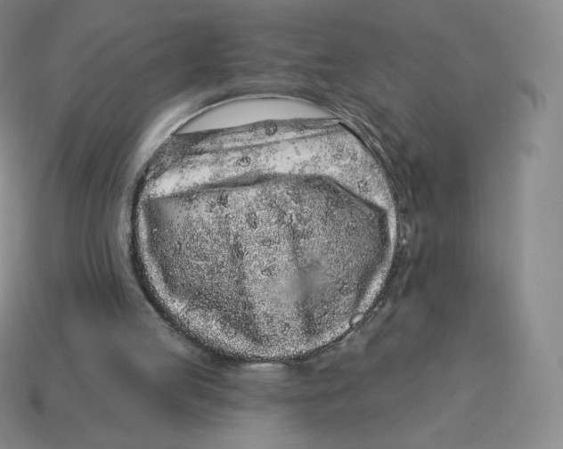 X0000114210053200911061454