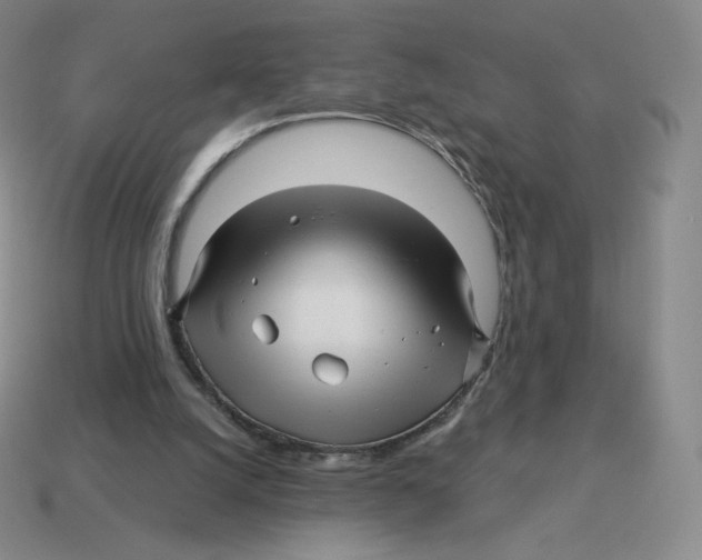 X0000114210056200911061454