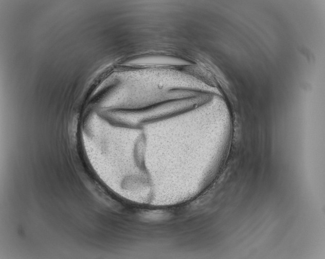 X0000114210058200911061454