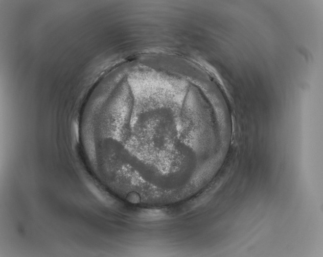 X0000114210061200911061454