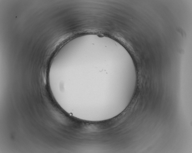 X0000114210062200911061454
