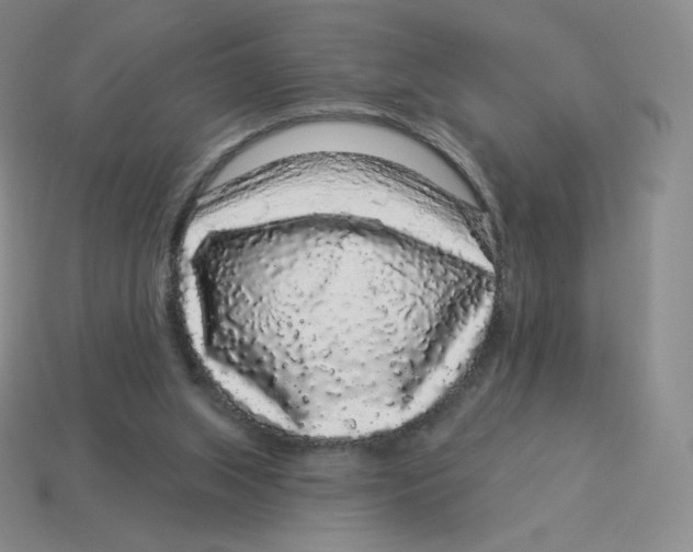 X0000114210063200911061454
