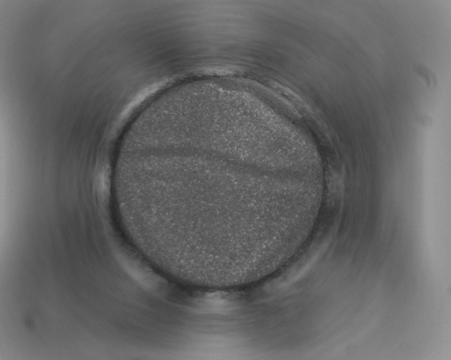 X0000114210064200911061454