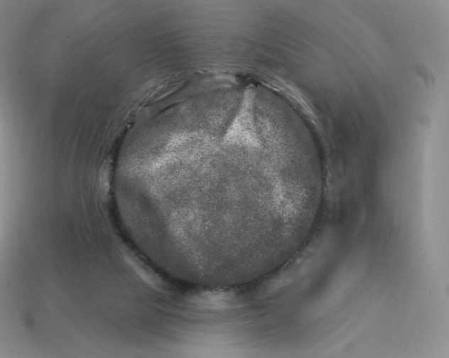 X0000114210065200911061454