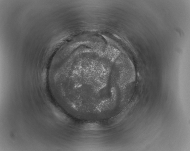 X0000114210066200911061454