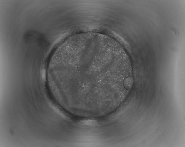 X0000114210067200911061454