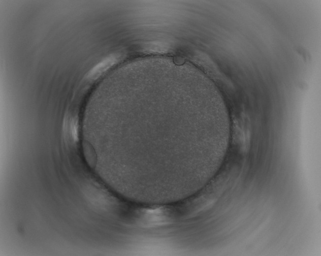 X0000114210068200911061454