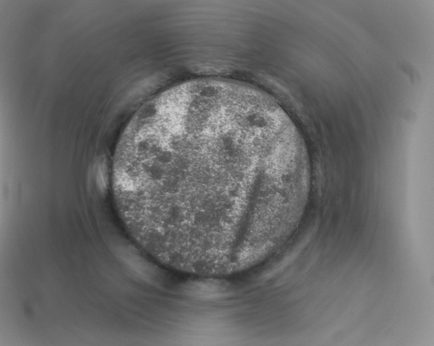 X0000114210069200911061454