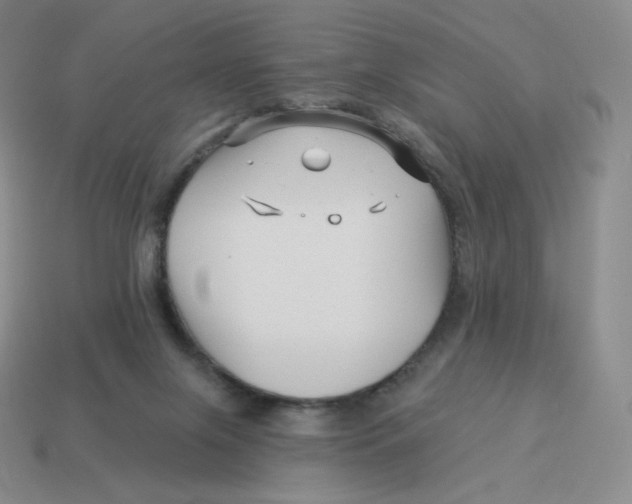 X0000114210071200911061454