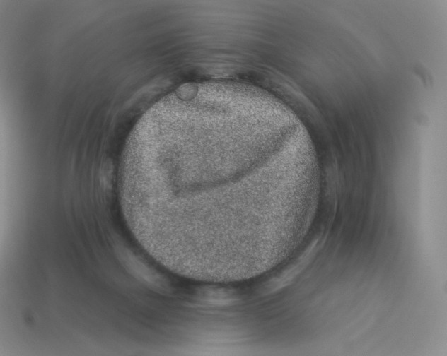 X0000114210073200911061454
