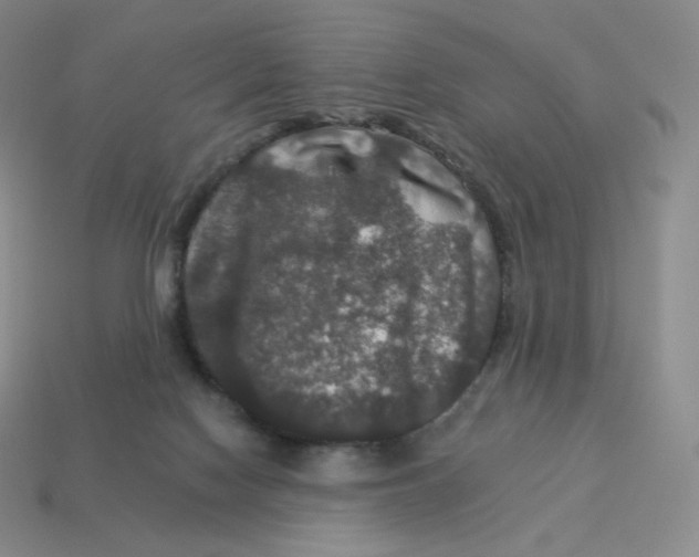 X0000114210074200911061454