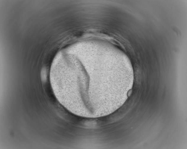 X0000114210075200911061454