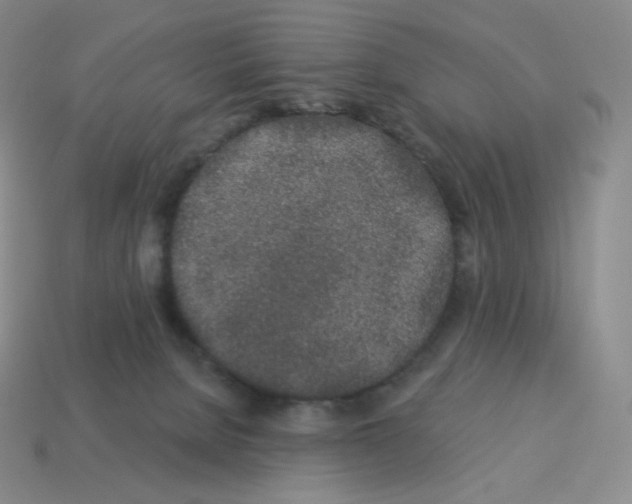 X0000114210080200911061454