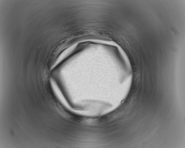 X0000114210081200911061454