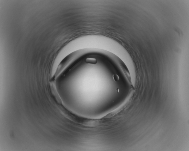 X0000114210084200911061454