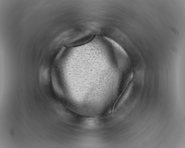 X0000114210088200911061454