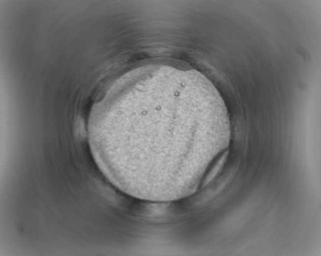 X0000114210089200911061454