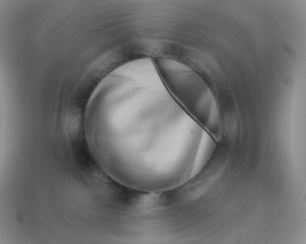 X0000114210092200911061454
