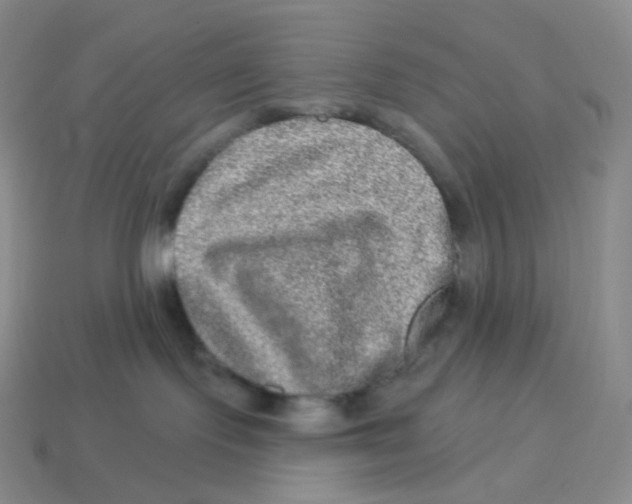 X0000114210095200911061455