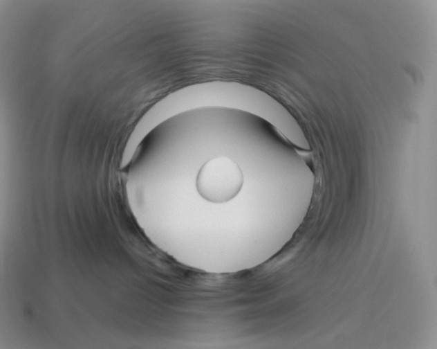 X0000114210096200911061455