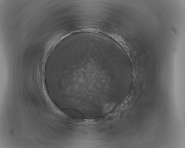 X0000114210097200911061454