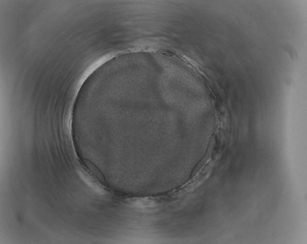 X0000114210100200911061454