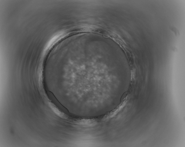 X0000114210101200911061454