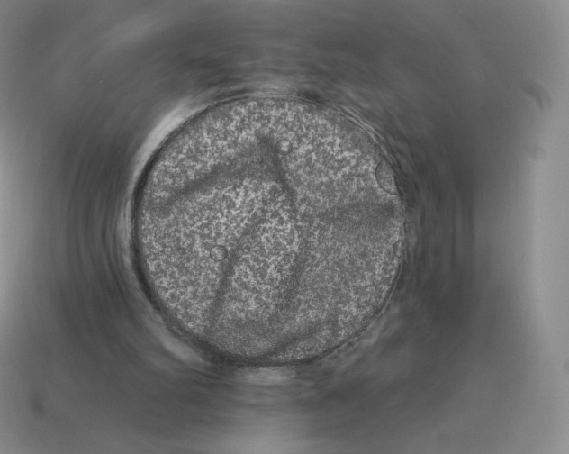 X0000114210102200911061454