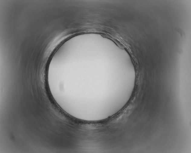 X0000114210103200911061454