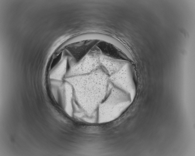 X0000114210104200911061454