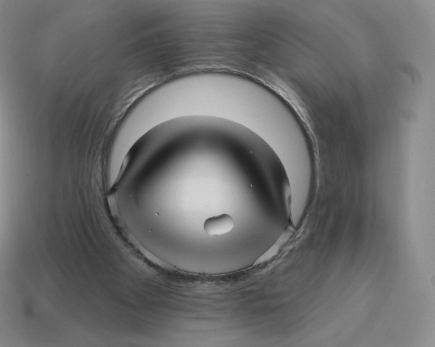 X0000114210105200911061454