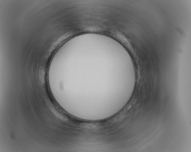 X0000114210106200911061454