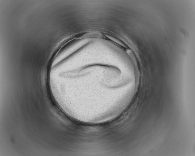 X0000114210107200911061454