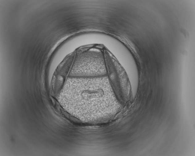 X0000114210108200911061454
