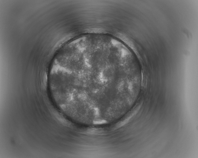 X0000114210109200911061454