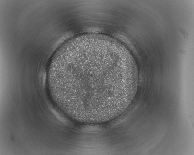 X0000114210110200911061454