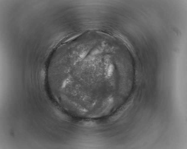 X0000114210113200911061454