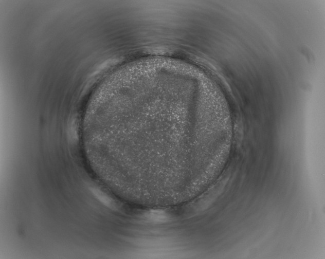 X0000114210114200911061454