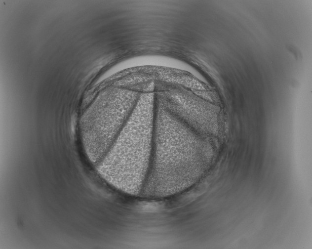 X0000114210115200911061454