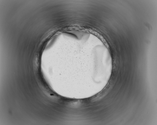 X0000114210116200911061454