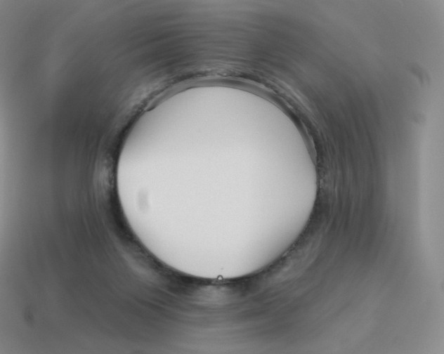 X0000114210119200911061454