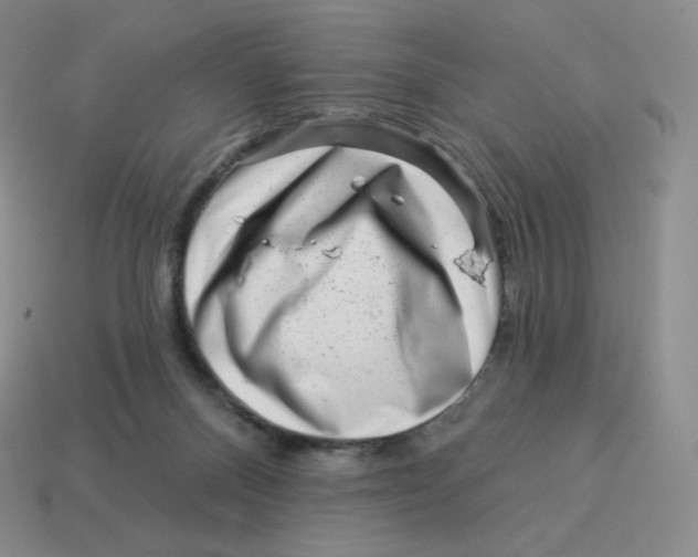X0000114210120200911061454