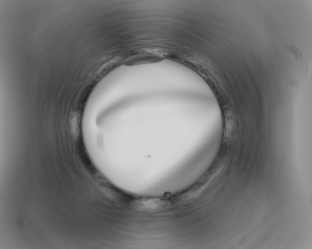 X0000114210121200911061454