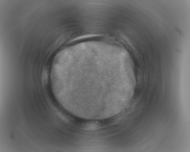X0000114210124200911061454
